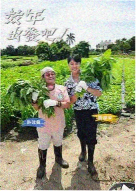 一平米舞台 综艺封面
